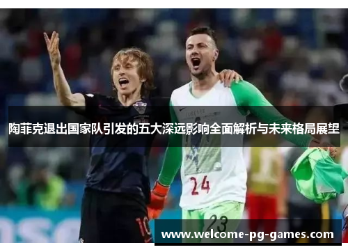 陶菲克退出国家队引发的五大深远影响全面解析与未来格局展望