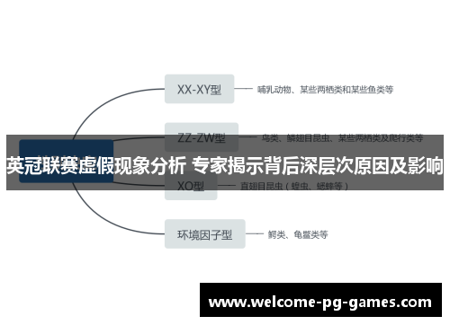 英冠联赛虚假现象分析 专家揭示背后深层次原因及影响