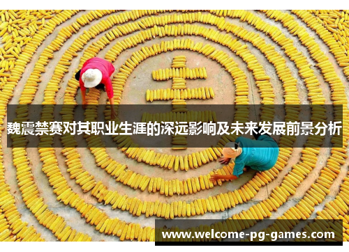 魏震禁赛对其职业生涯的深远影响及未来发展前景分析