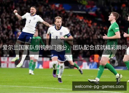 爱尔兰国家队倒钩射门得分，团队配合成就精彩瞬间